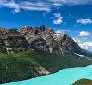 信息轰炸在线使用免费